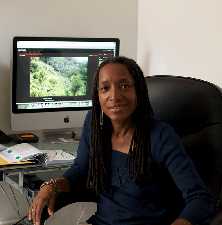 A black woman working on her computer